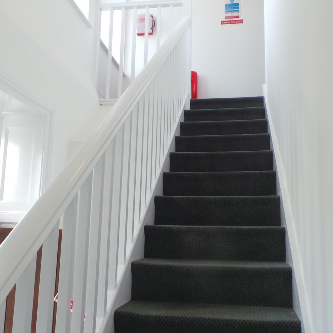 T M Decorating Penzance a father & Daughter Family run Business 