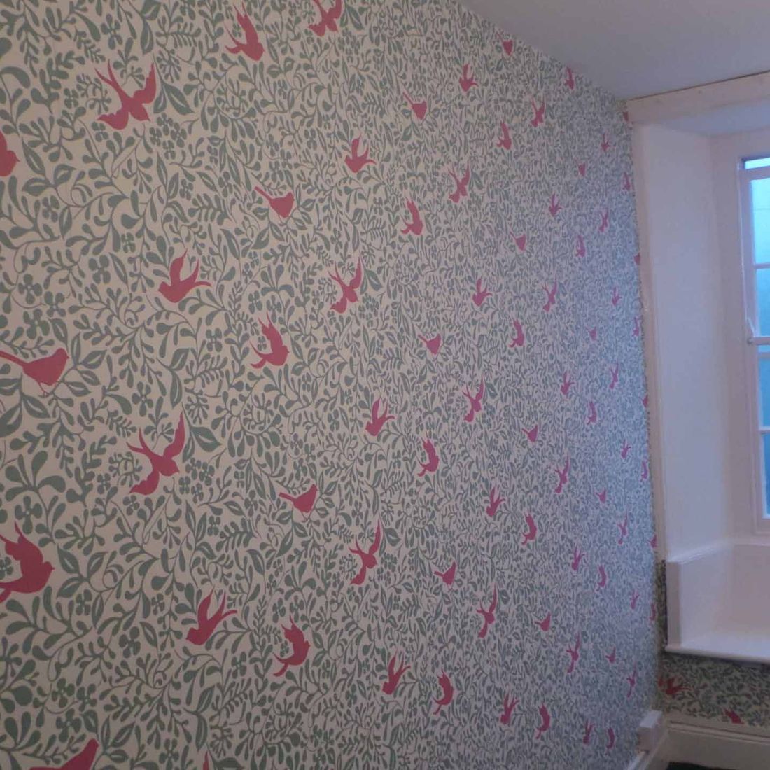 T M Decorating Penzance a father & Daughter Family run Business 