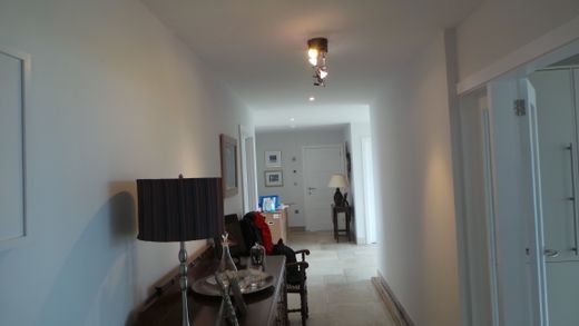 T M Decorating Penzance a father & Daughter Family run Business 